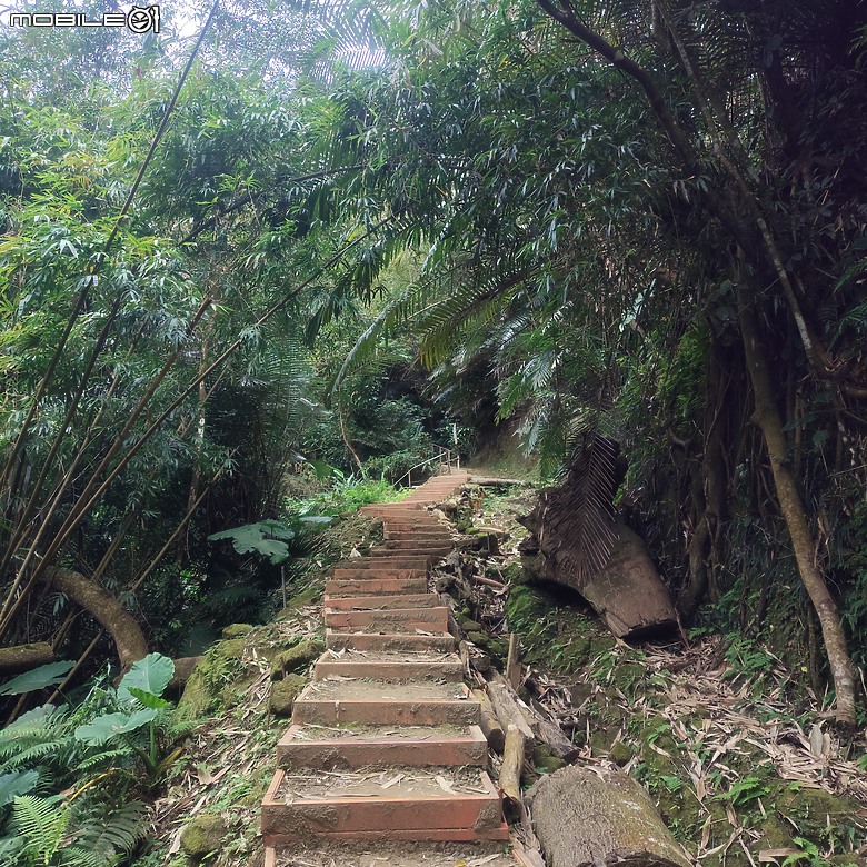三崁頂健康步道，當地人的秘密後花園，練腿力的好地方