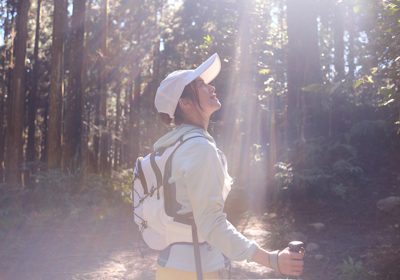 【鵝公髻山】林相絕美的新竹縣小百岳 | 山上人家農場第三登山口起登
