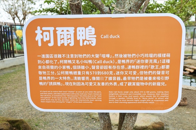 山巒景色讓人感到美不勝收，園區有超人氣的水豚君、笑笑羊，也有許多可愛小動物