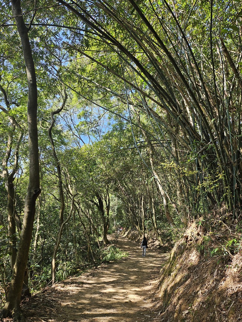 桃園市後花園半日遊 - 春天農場午餐 + 虎頭山健行步道