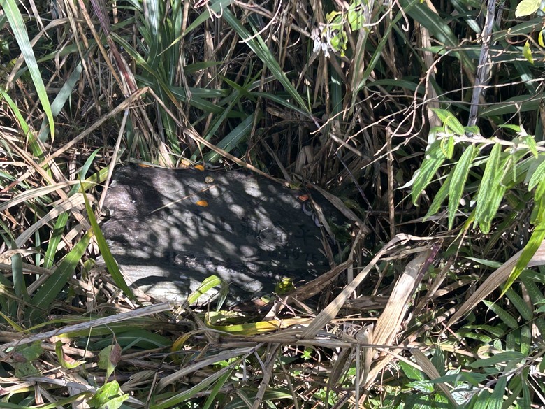 頂湖大凍山國家森林步道健行
