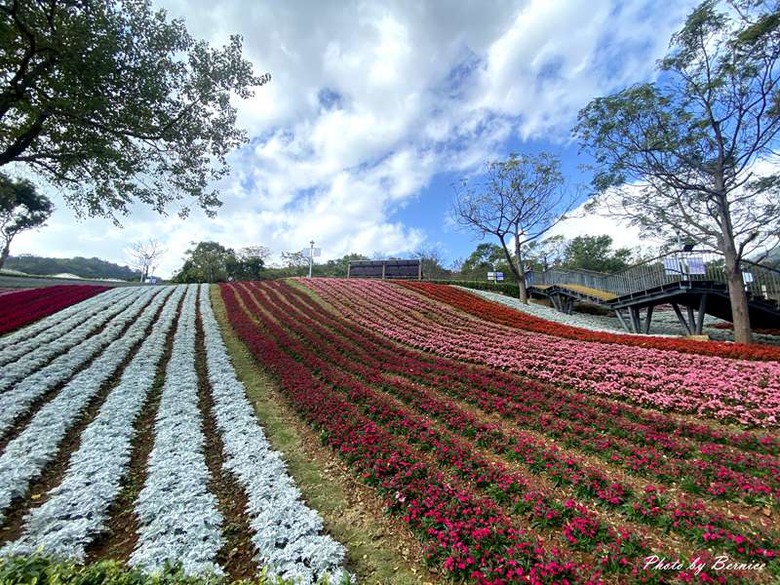 北投社三層崎公園花海~彩色浪花海.走春好所在