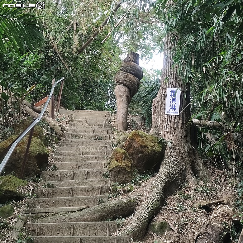 三崁頂健康步道，當地人的秘密後花園，練腿力的好地方