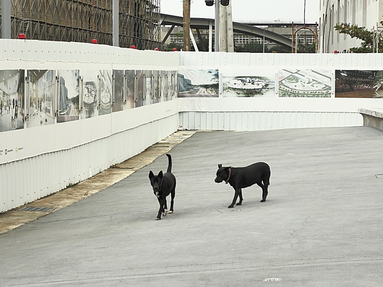車城 落山風藝術季 【看海美術館展區、海口村街道及村落展區、墾丁長灘休閒飯店、紅柴。居 山海之隅】,順遊恆春縣城東門及北門、恆春文化中心民謠館,品嚐半島特色美食 — 香酥鴨、綠豆蒜 — 2025年初 國境之南看海賞藝小旅行 【小惡魔畫蛇添福】補篇(2)