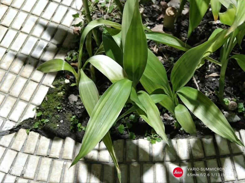 [開箱] SHARP R9pro實際使用心得
