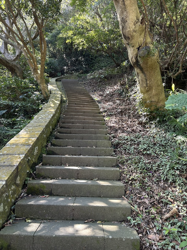 2/15 SCC：晨間團騎，解鎖崩山巷華富山路，Calamita due city tour