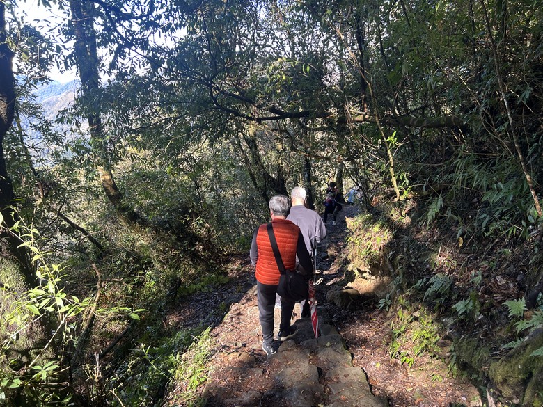 頂湖大凍山國家森林步道健行