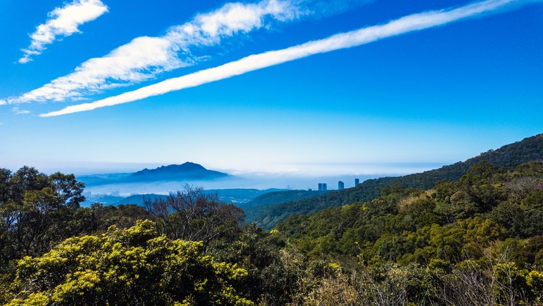 挑戰忠中縱走：在櫻花樹下邂逅春天的美好，一覽大屯山系的自然與人文歷史