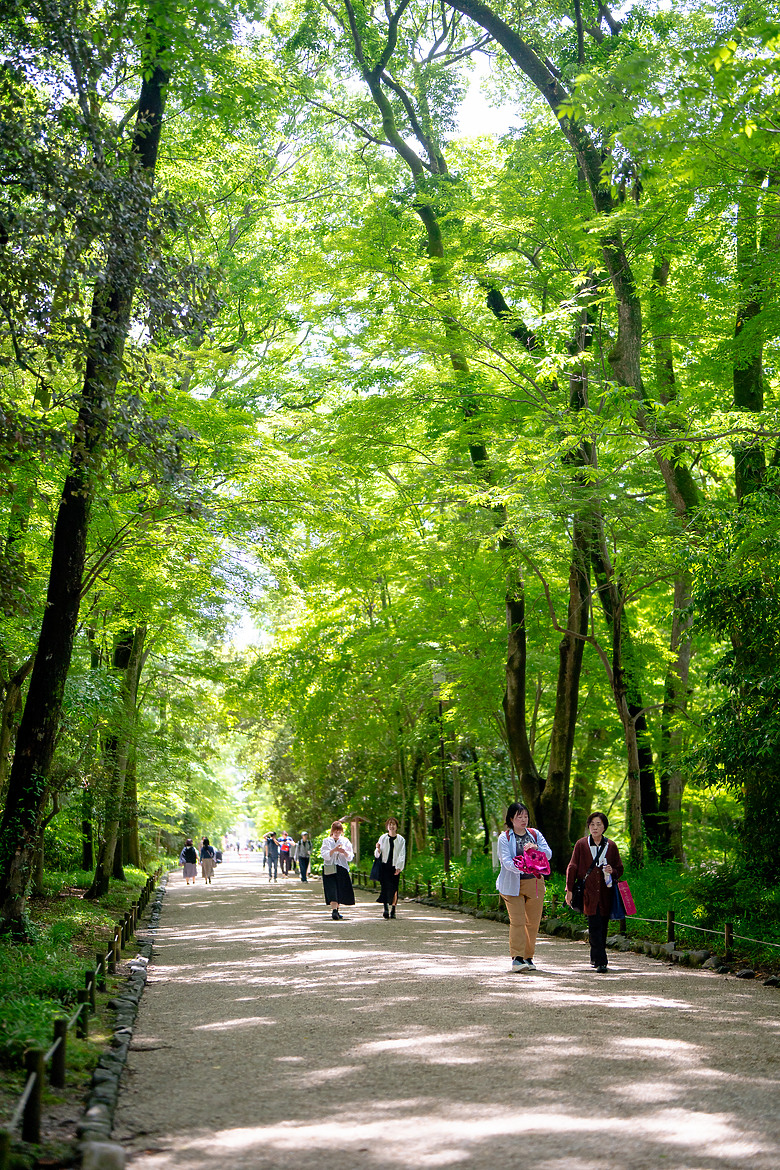 【關西】獨旅，京都古城篇(二)