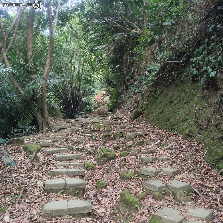 三崁頂健康步道，當地人的秘密後花園，練腿力的好地方