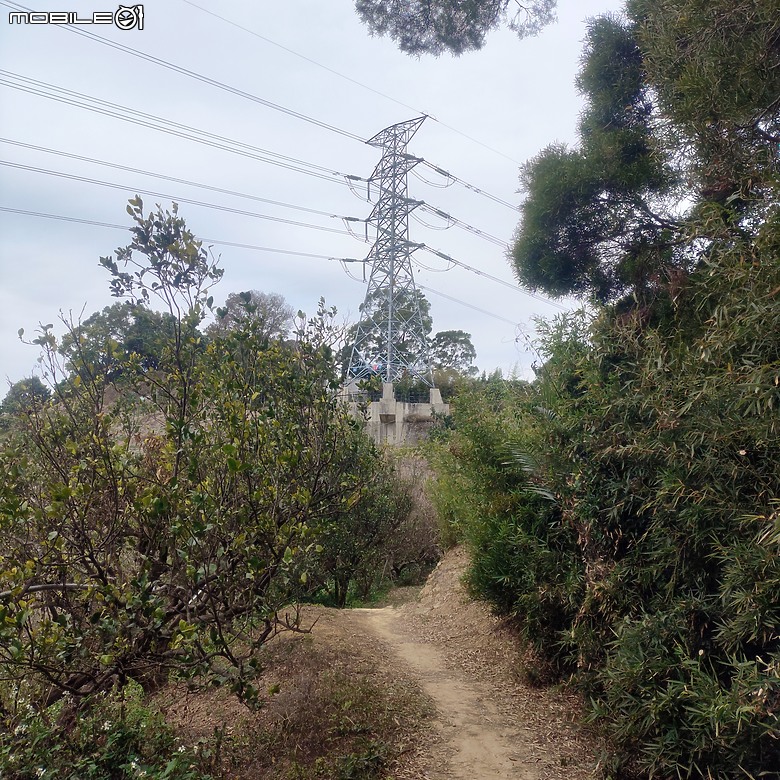 三崁頂健康步道，當地人的秘密後花園，練腿力的好地方