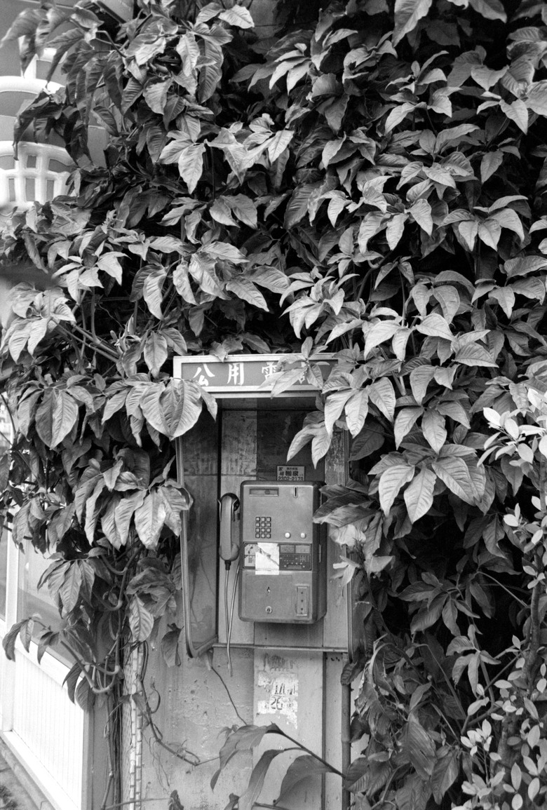 我的黑白底片之路