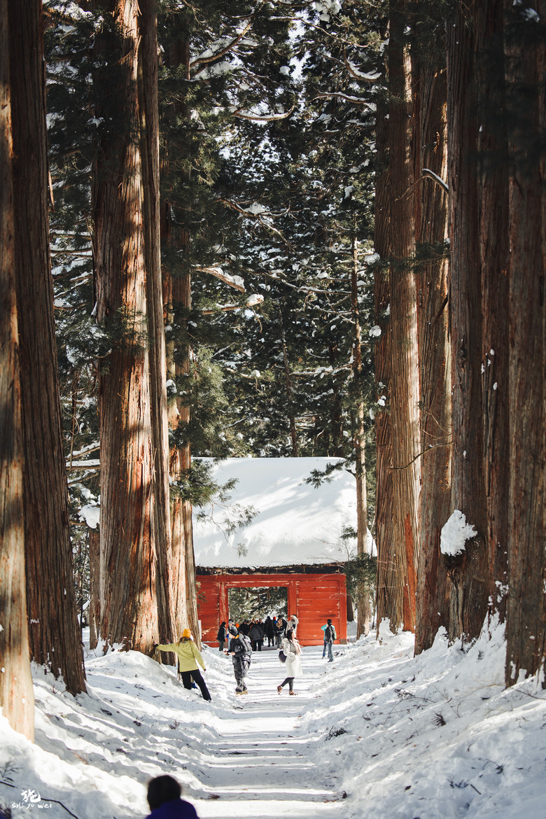 【日本長野】雪景戶隱神社