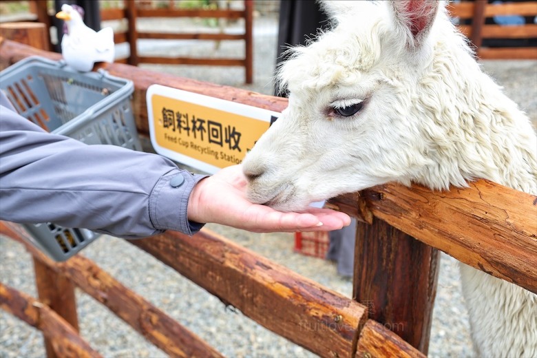 山巒景色讓人感到美不勝收，園區有超人氣的水豚君、笑笑羊，也有許多可愛小動物