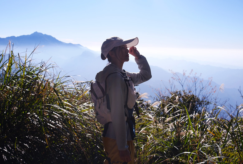 【鵝公髻山】林相絕美的新竹縣小百岳 | 山上人家農場第三登山口起登