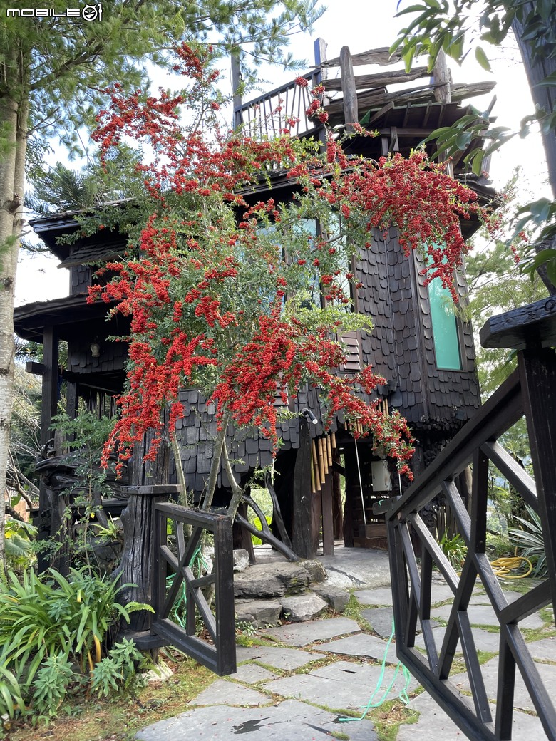 【旅宿開箱】清境雲南風情：童話故事裡的樹屋，兩人就直接包整棟？！