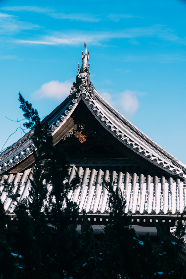 [NIKON ZF] 神戶散策