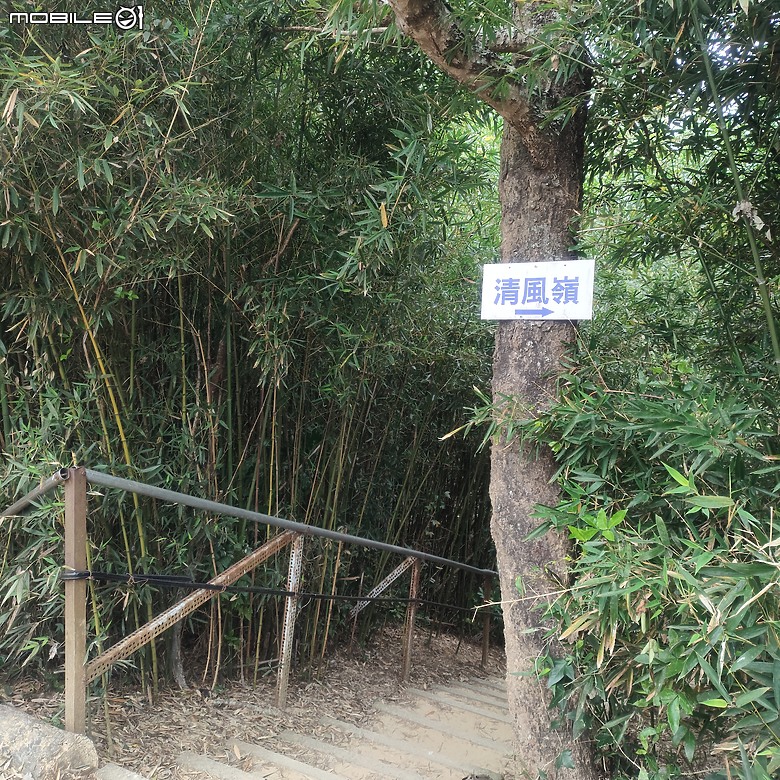 三崁頂健康步道，當地人的秘密後花園，練腿力的好地方
