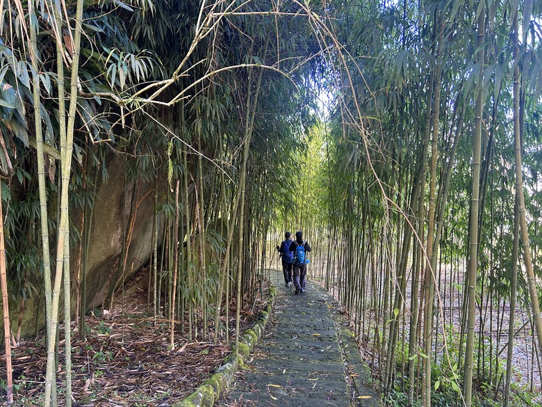 頂湖大凍山國家森林步道健行