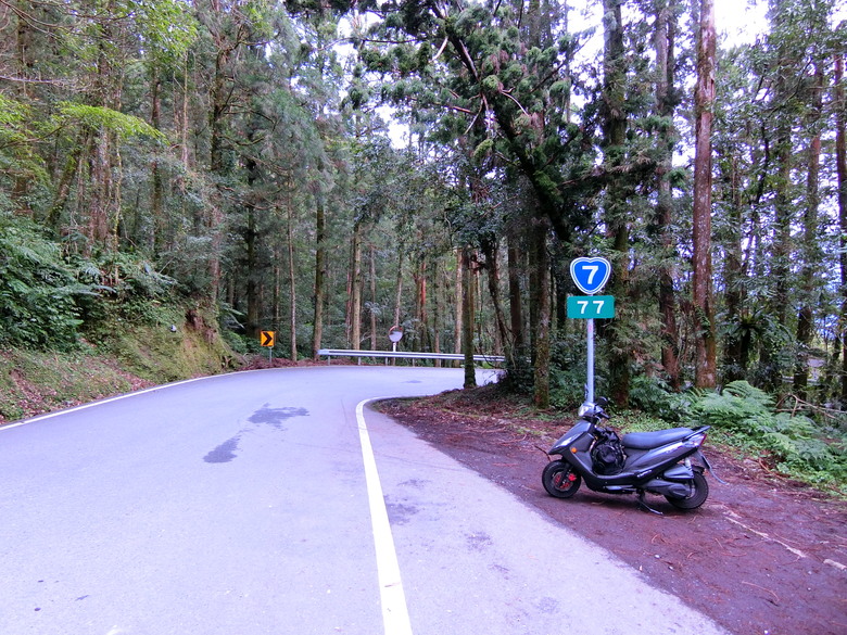 台７線大溪～百韜橋～大同鄉四季，北橫吊橋全記錄