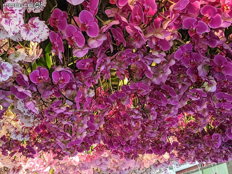 花在彰化 彰化縣溪州鄉中央路三段138號 02/01