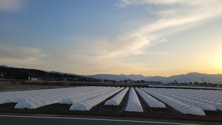 日本房地產小旅行：熊本台積電房地產實拍．新公寓700萬入手