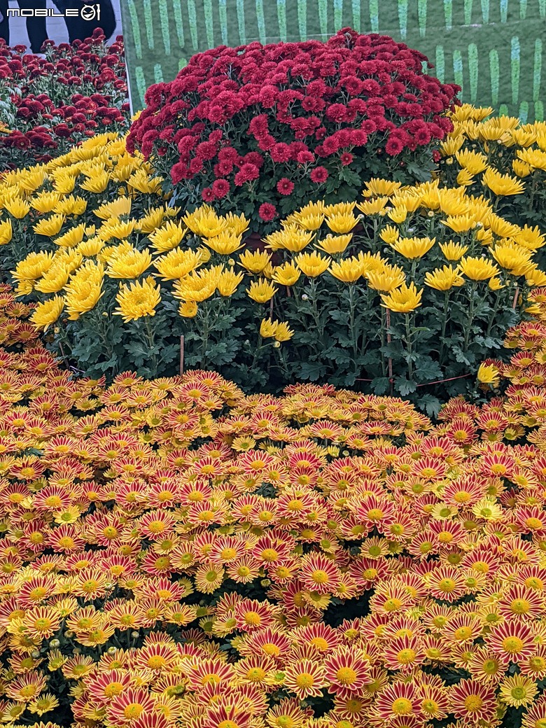 花在彰化 彰化縣溪州鄉中央路三段138號 02/01
