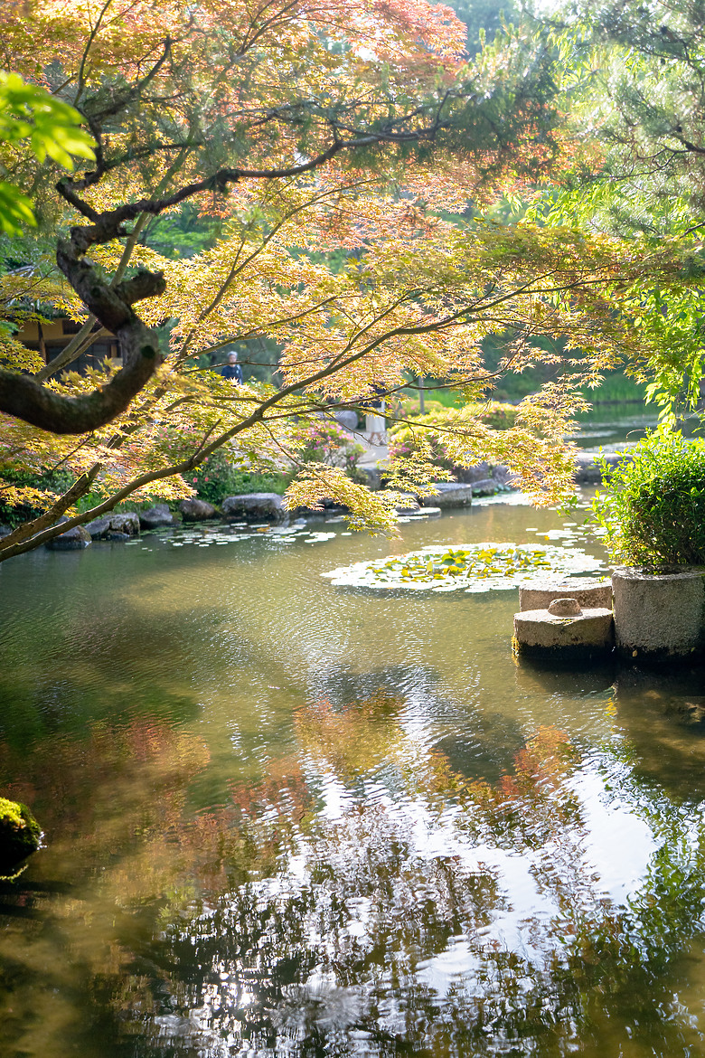 【關西】獨旅，京都古城篇(二)