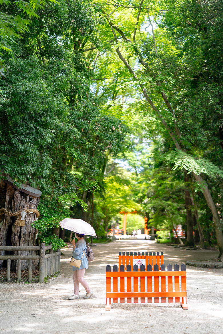 【關西】獨旅，京都古城篇(二)