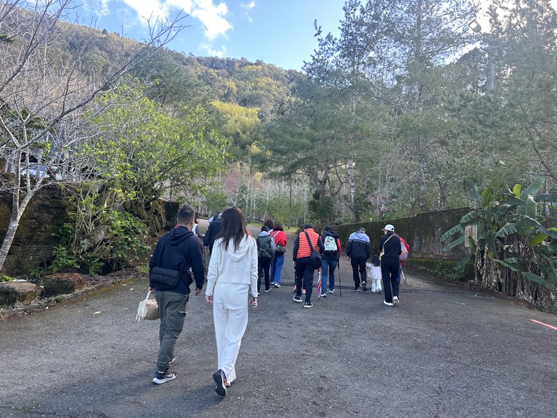 頂湖大凍山國家森林步道健行
