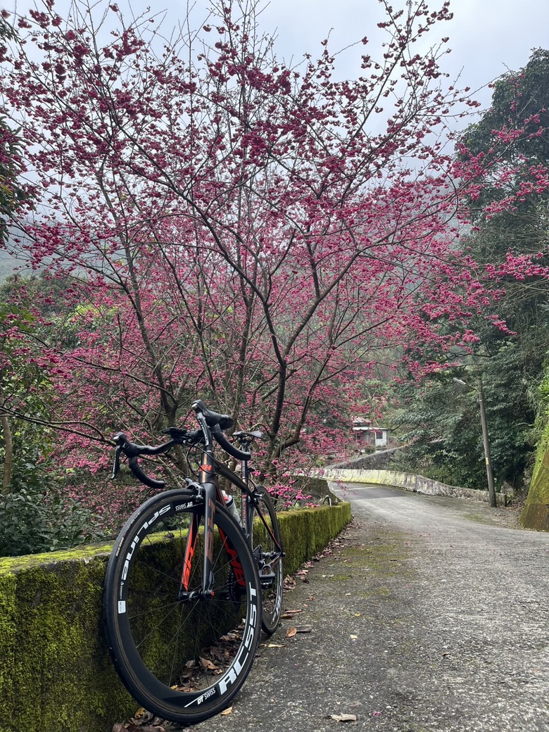 湯瑪士老火車 Bryton Rider 460 開箱文