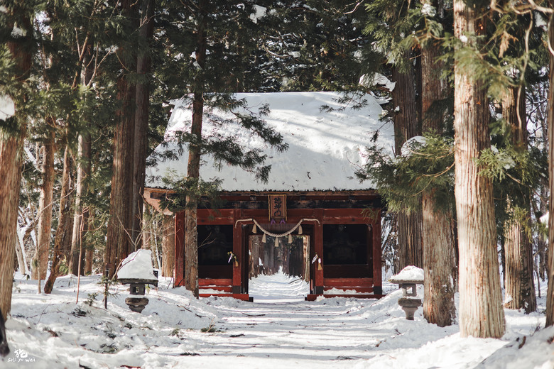 【日本長野】雪景戶隱神社