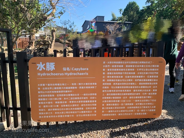 山巒景色讓人感到美不勝收，園區有超人氣的水豚君、笑笑羊，也有許多可愛小動物