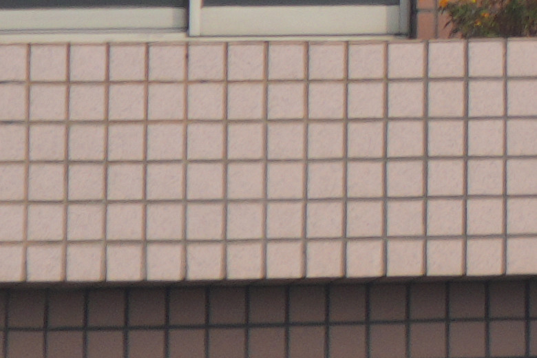 Sony FE 400-800mm f/6.3-8 G OSS 評測報告｜E-mount 首顆 800mm 砲降臨！