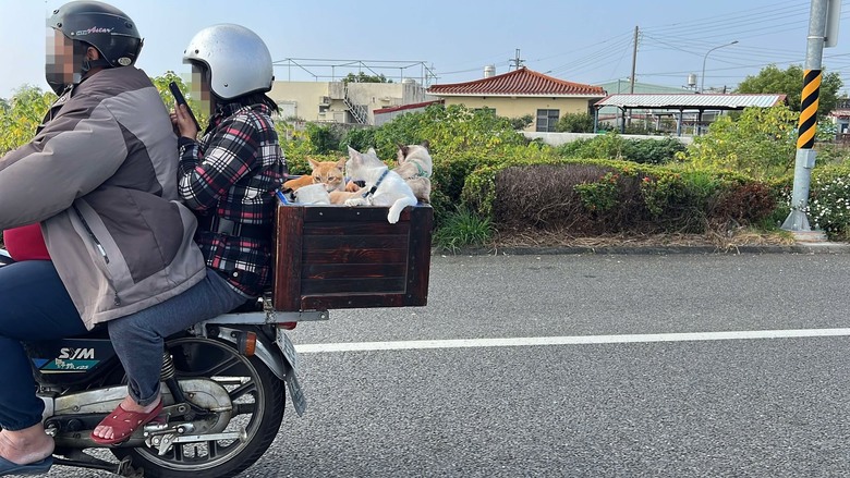 車城 落山風藝術季 【看海美術館展區、海口村街道及村落展區、墾丁長灘休閒飯店、紅柴。居 山海之隅】,順遊恆春縣城東門及北門、恆春文化中心民謠館,品嚐半島特色美食 — 香酥鴨、綠豆蒜 — 2025年初 國境之南看海賞藝小旅行 【小惡魔畫蛇添福】補篇(2)