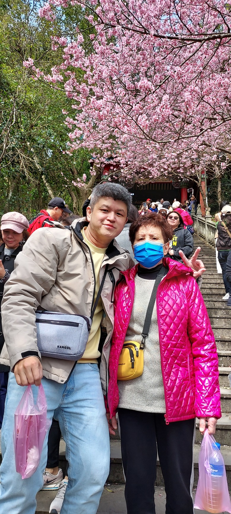 碧山巖花花之旅