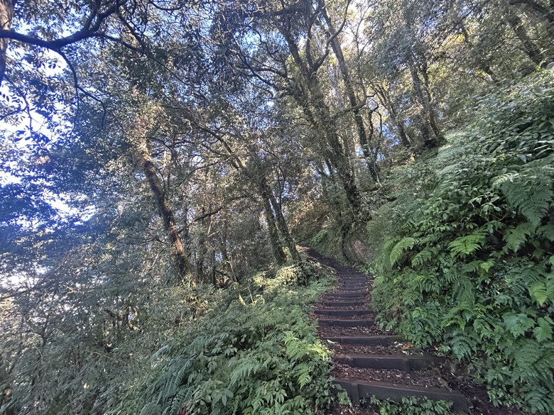 頂湖大凍山國家森林步道健行