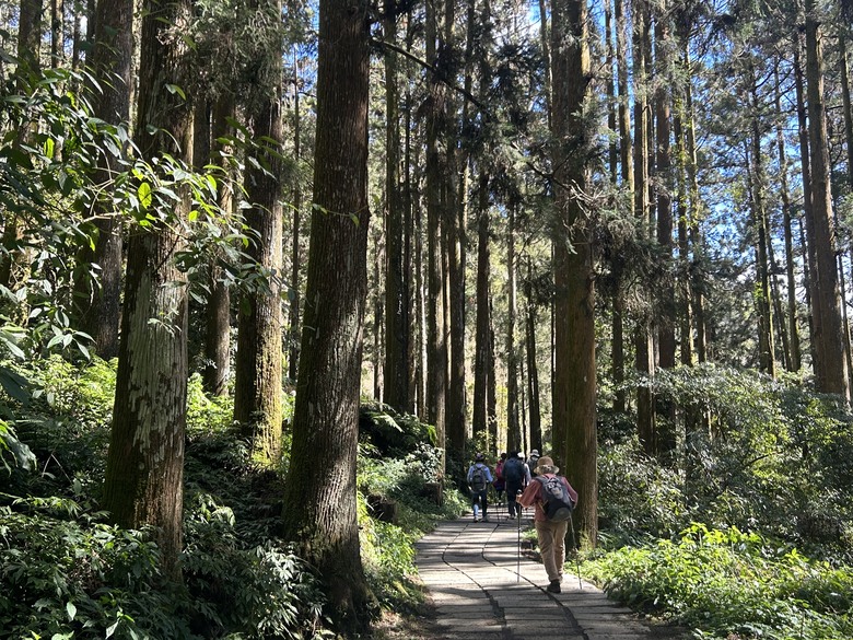 頂湖大凍山國家森林步道健行
