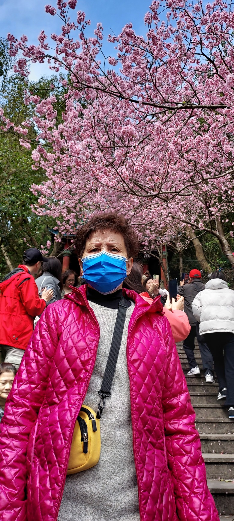 碧山巖花花之旅