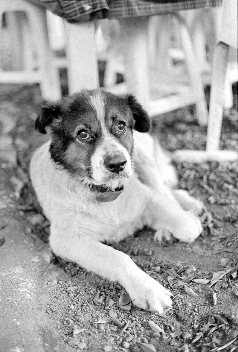 我的黑白底片之路