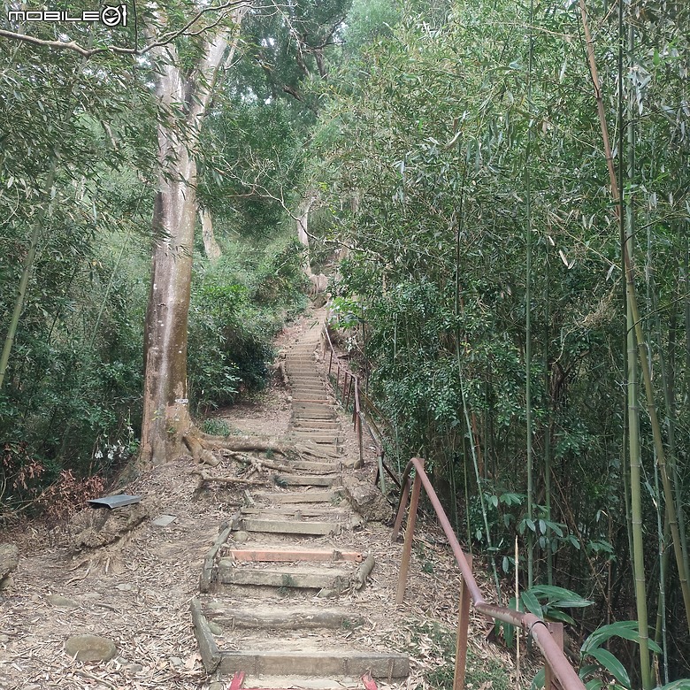 三崁頂健康步道，當地人的秘密後花園，練腿力的好地方