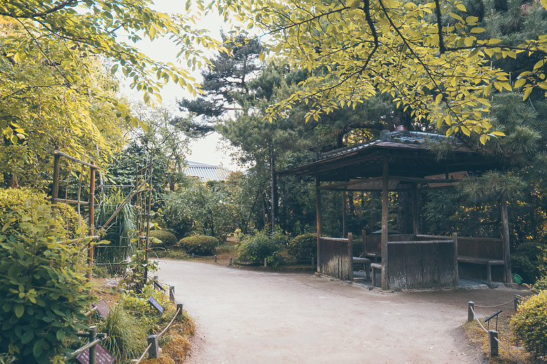 【關西】獨旅，京都古城篇(二)