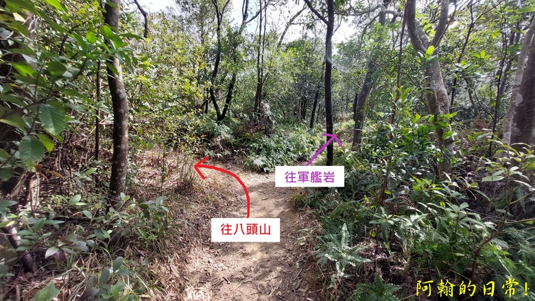 【郊山走走】 台湾よ、永に幸なれ。台灣幸福石、展翅高飛丹鳳山、熱門健行景點軍艦岩 輕鬆健行北投10連峰