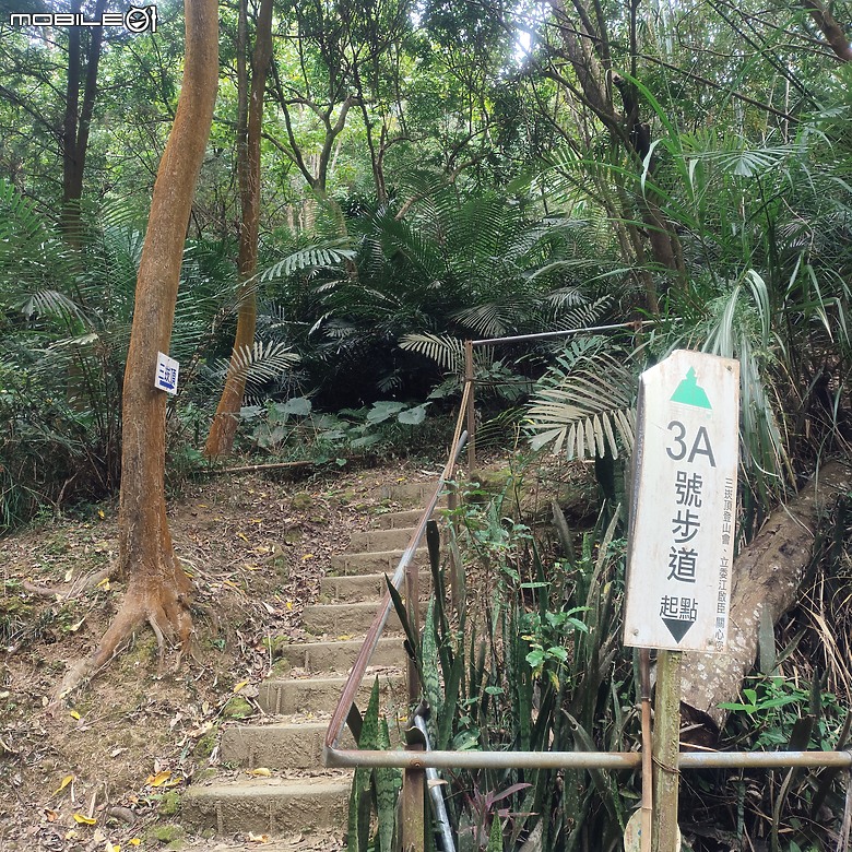 三崁頂健康步道，當地人的秘密後花園，練腿力的好地方