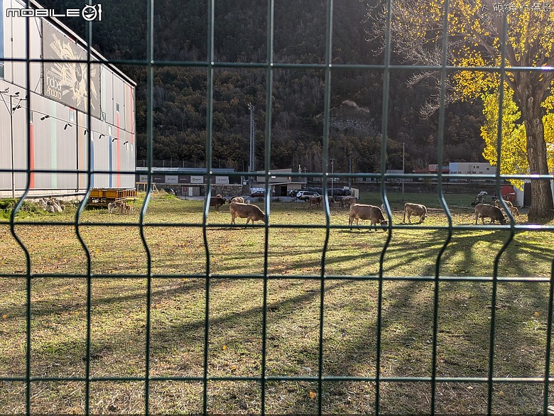 [大頭貓的海島] 藏在庇里牛斯山中的小國家 安道爾(Andorra)
