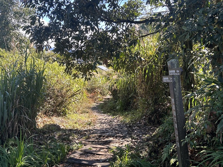 頂湖大凍山國家森林步道健行