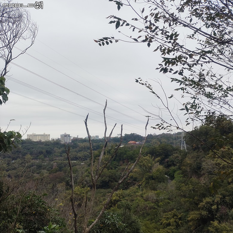 三崁頂健康步道，當地人的秘密後花園，練腿力的好地方