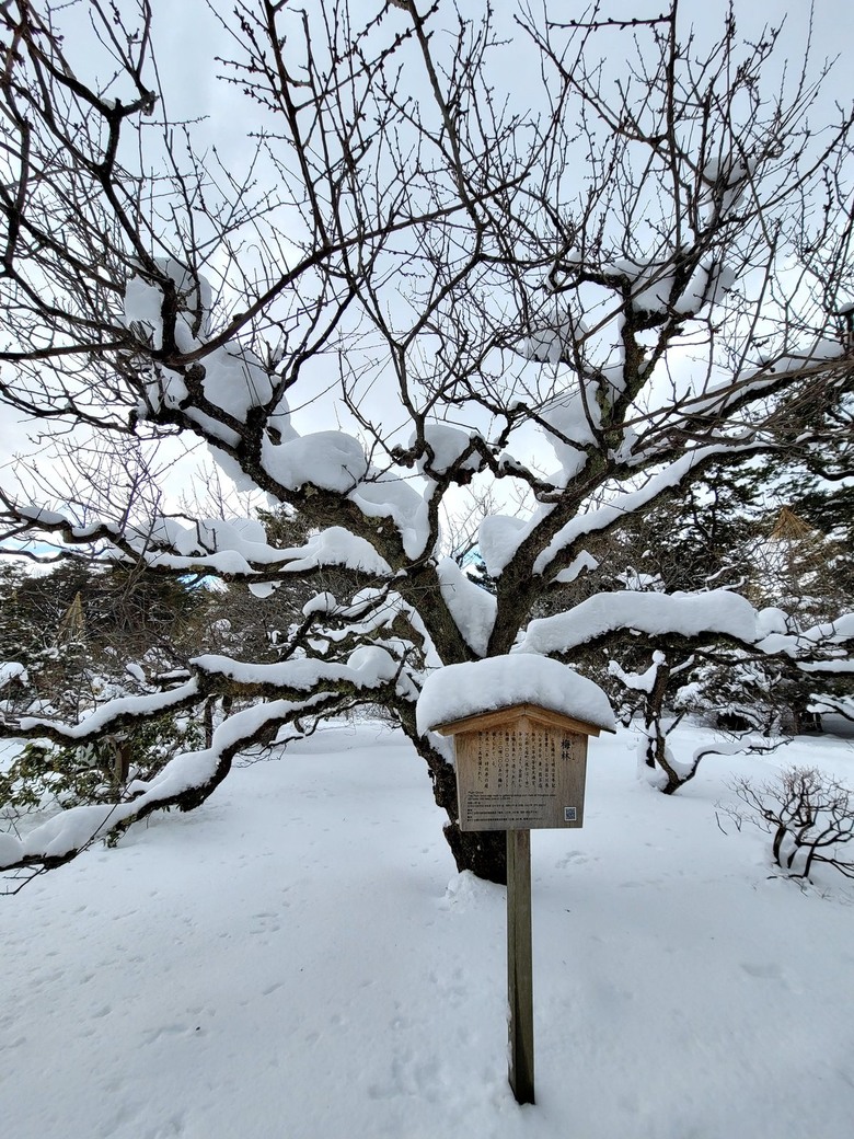 實體eSIM卡實測 日本 名古屋 高山 富山 金澤