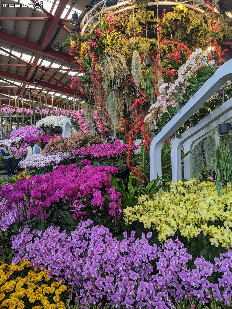 花在彰化 彰化縣溪州鄉中央路三段138號 02/01