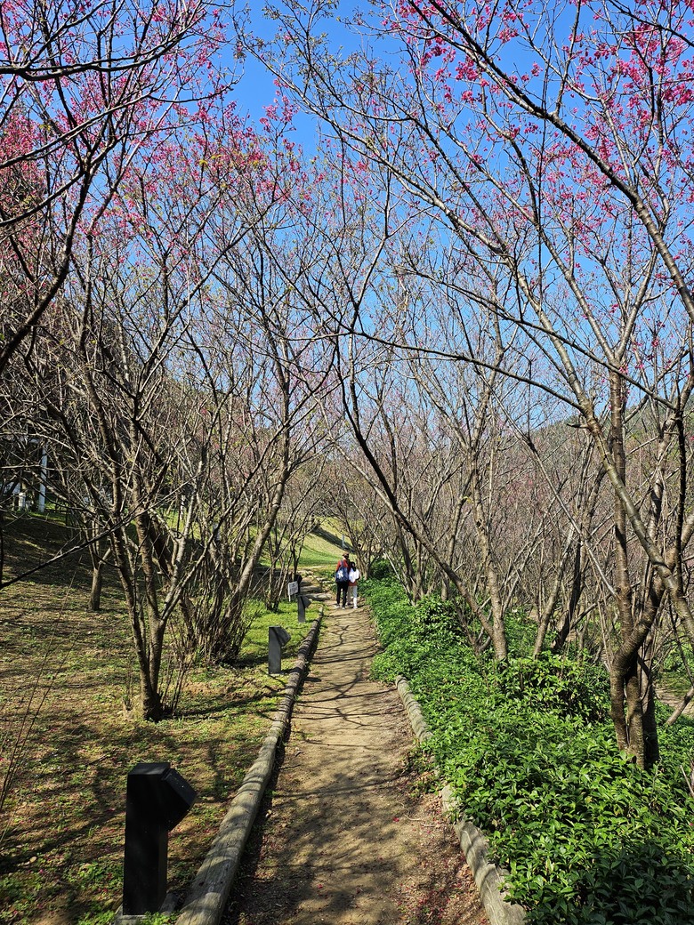 桃園市後花園半日遊 - 春天農場午餐 + 虎頭山健行步道